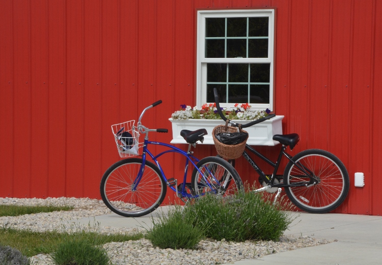 2 bicycles under windows